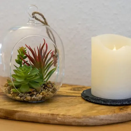 Strandlaeufer * Neßmersiel